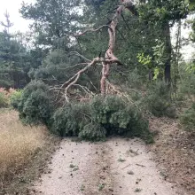 Zobacz zdjęcie: Miejscowe zagrożenie między Nową Kuźnią a Pasternikiem