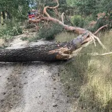 Zobacz zdjęcie: Miejscowe zagrożenie między Nową Kuźnią a Pasternikiem