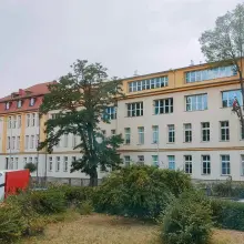 Zobacz zdjęcie: Wycinka i przycinanie drzew przy I Liceum Ogólnokształcącym w Bolesławcu
