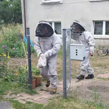 Zobacz zdjęcie: Akcja strażaków w miejscowości Modła