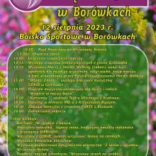 Zobacz zdjęcie: Święto Wrzosu w Borówkach