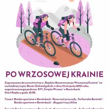 Zobacz zdjęcie: Święto Wrzosu w Borówkach