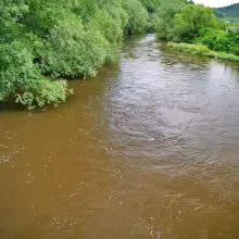 Zobacz zdjęcie: Akcja strażaków we Wleniu