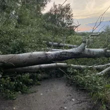Zobacz zdjęcie: Strażacy usuwali skutki nawałnicy w powiecie bolesławieckim
