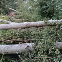 Zobacz zdjęcie: Strażacy usuwali skutki nawałnicy w powiecie bolesławieckim