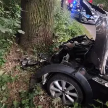 Zobacz zdjęcie: Zdarzenie między Modlikowicami a Zagrodnem