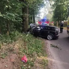 Zobacz zdjęcie: Zdarzenie między Modlikowicami a Zagrodnem