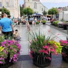 Zobacz zdjęcie: Święto ceramiki: kilka ujęć centrum Bolesławca z czwartku