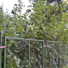 Zobacz zdjęcie: Ogrodzenie przy krzyżówce Kwiatowa–Gdańska w Bolesławcu