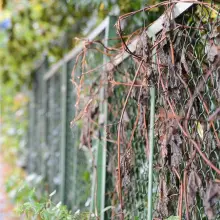 Zobacz zdjęcie: Ogrodzenie przy krzyżówce Kwiatowa–Gdańska w Bolesławcu