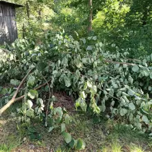 Zobacz zdjęcie: Śmierci na terenie OSP Gromadka