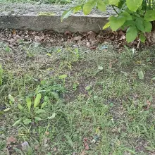 Zobacz zdjęcie: Śmierci na terenie OSP Gromadka