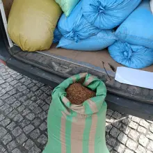 Zobacz zdjęcie: Tytoń