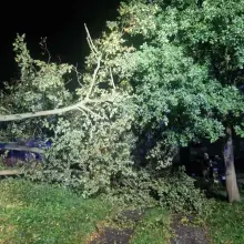 Zobacz zdjęcie: Działania OSP Krzyżowa