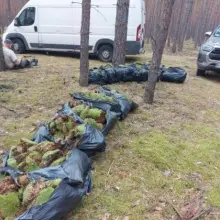 Zobacz zdjęcie: Działania Straży Leśnej Bolesławiec