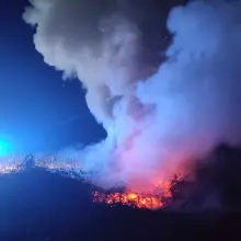 Zobacz zdjęcie: Pożar między Wierzbową a Pasternikiem