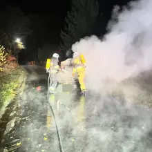 Zobacz zdjęcie: Akcja strażaków w Osieczowie