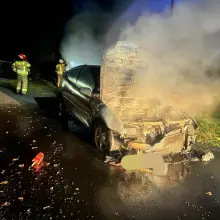 Zobacz zdjęcie: Akcja strażaków w Osieczowie