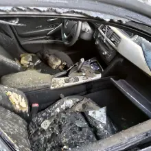 Zobacz zdjęcie: Nocny pożar Hondy i BMW koło budynku starostwa w Bolesławcu