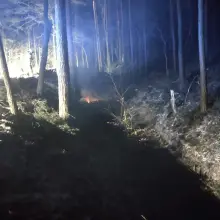 Zobacz zdjęcie: Akcja strażaków w Dąbrowie Bolesławieckiej