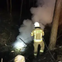 Zobacz zdjęcie: Akcja strażaków w Dąbrowie Bolesławieckiej