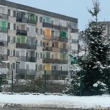 Zobacz zdjęcie: Ścięte drzewa przy szkole
