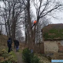 Zobacz zdjęcie: Poszukiwany