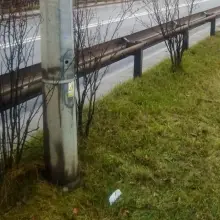 Zobacz zdjęcie: Uszkodzone słupy oświetleniowe