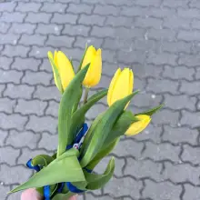 Zobacz zdjęcie: Akcja uczniów ZSB Bolesławiec