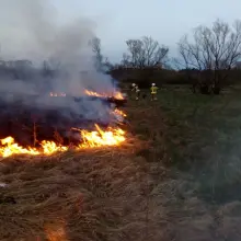 Zobacz zdjęcie: Pożar w Trzebieniu