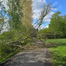 Zobacz zdjęcie: Akcja w Parkoszowie