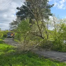 Zobacz zdjęcie: Akcja w Parkoszowie