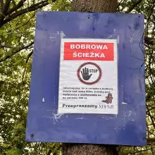 Zobacz zdjęcie: Ruszyły prace przy budowie mostu nad rzeką Bóbr. Wycięto drzewa