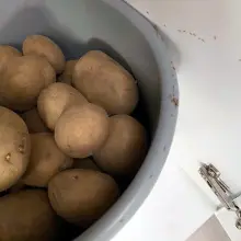 Zobacz zdjęcie: Mrówki na Spółdzielczej