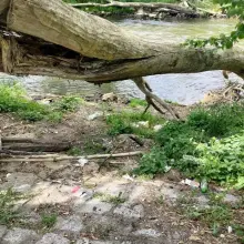 Zobacz zdjęcie: Śmieci nad Bobrem, niedaleko wiaduktu