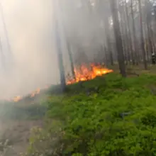 Zobacz zdjęcie: Pożar lasu koło Gromadki