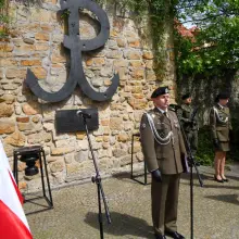 Zobacz zdjęcie: Bolesławianie uczcili Narodowy Dzień Zwycięstwa
