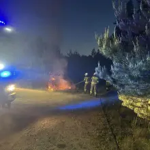 Zobacz zdjęcie: Pożar lasu