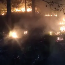 Zobacz zdjęcie: Pożar lasu