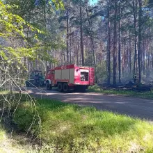 Zobacz zdjęcie: Pożar lasu