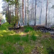 Zobacz zdjęcie: Pożar lasu