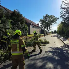 Zobacz zdjęcie: Akcja służb w Krzyżowej