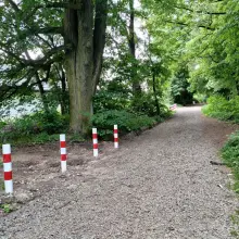 Zobacz zdjęcie: Aleja Przyleśna zabezpieczona przed samochodami i quadami