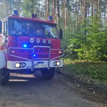 Zobacz zdjęcie: Pożar w Nadleśnictwie Chocianów