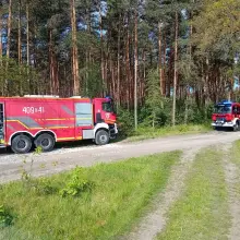 Zobacz zdjęcie: Pożar w Nadleśnictwie Chocianów