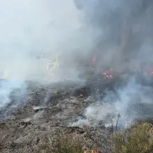 Zobacz zdjęcie: Akcja służb w Trzebieniu