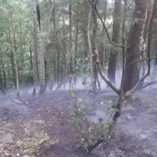 Zobacz zdjęcie: Akcje strażackie w Milikowie