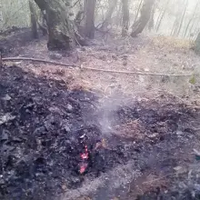 Zobacz zdjęcie: Akcje strażackie w Milikowie