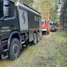 Zobacz zdjęcie: Pożar lasu