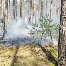 Zobacz zdjęcie: Pożar w Krępnicy